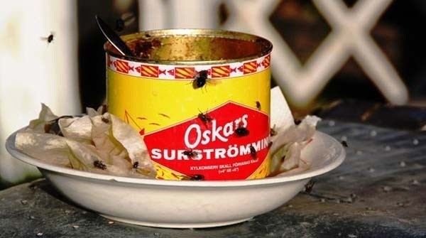 Surströmming. Xuất xứ từ miền Bắc Thụy Điển, surströmming là cá trích được lên men trong thùng cho một vài tháng sau đó đưa vào lon thiếc ủ khoảng một năm. Quá trình lên men quá mạnh làm những chiếc lon chứa bị phình ra vì áp suất, và thực phẩm này đã bị cấm bởi một số hãng hàng không trên thế giới vì nguy cơ an toàn cháy nổ. Nhiều người ăn nó ở ngoài trời vì mùi hôi sẽ bốc mùi rất hăng khi hộp nó được mở ra. Nó thường được so sánh với trứng thối hay bơ ôi.